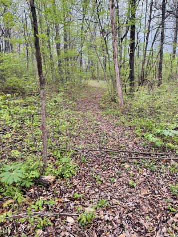 Tract 2 E Pine Road Common Bloomfield IN 47424