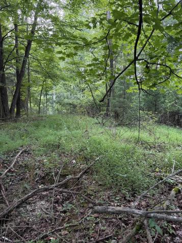 4378 E Moores Creek Road Bloomington IN 47401
