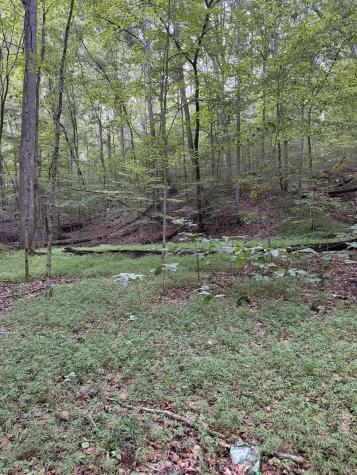 4378 E Moores Creek Road Bloomington IN 47401