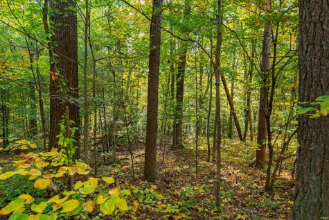 113 Hickory Knob Road Nashville IN 47448