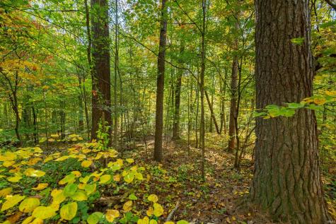 113 Hickory Knob Road Nashville IN 47448