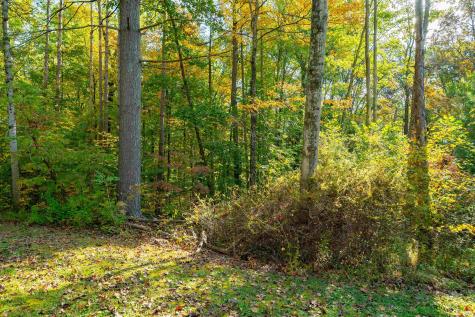 113 Hickory Knob Road Nashville IN 47448