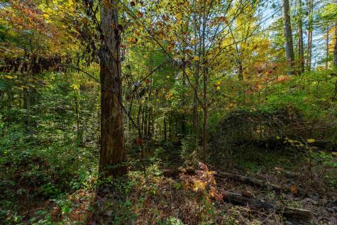 113 Hickory Knob Road Nashville IN 47448