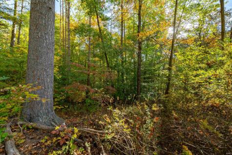 113 Hickory Knob Road Nashville IN 47448