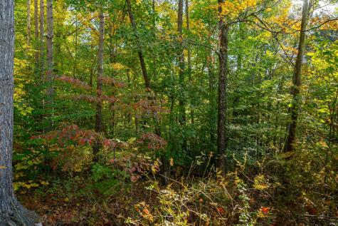 113 Hickory Knob Road Nashville IN 47448