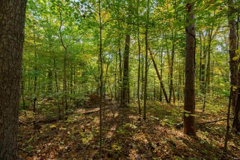 113 Hickory Knob Road Nashville IN 47448