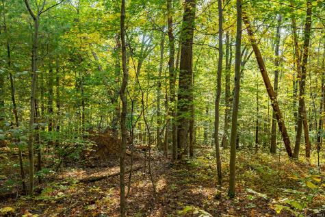 113 Hickory Knob Road Nashville IN 47448