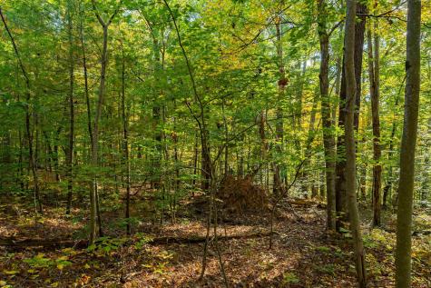 113 Hickory Knob Road Nashville IN 47448
