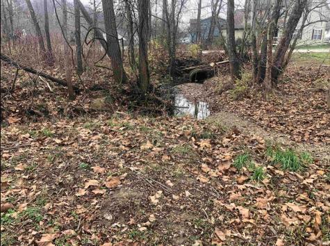 811 N Daisy Drive Ellettsville IN 47429
