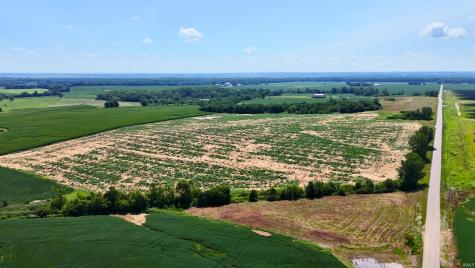 42+/- Acres N Wampler Road Bicknell IN 47512