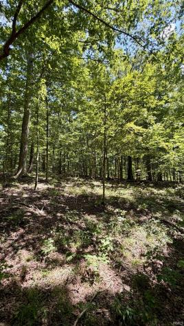 Co Rd 675 S French Lick IN 47432