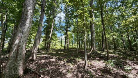 Co Rd 675 S French Lick IN 47432