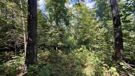 Co Rd 675 S French Lick IN 47432