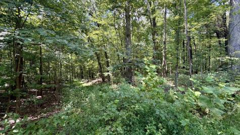 Co Rd 675 S French Lick IN 47432