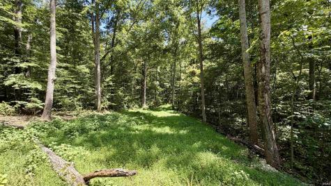 Co Rd 675 S French Lick IN 47432