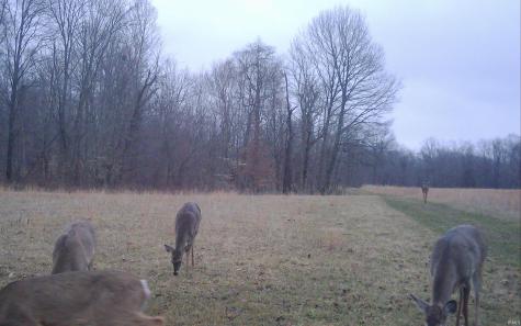 9010 N Texas Ridge Road Gosport IN 47433
