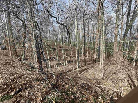 Briarwood Lane Springville IN 47462