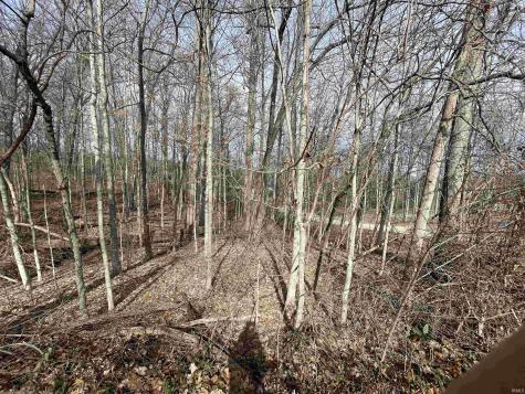Briarwood Lane Springville IN 47462