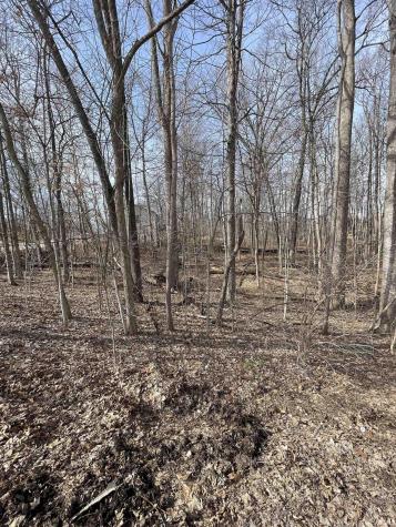 Briarwood Lane Springville IN 47462
