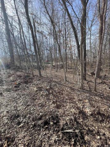 Briarwood Lane Springville IN 47462