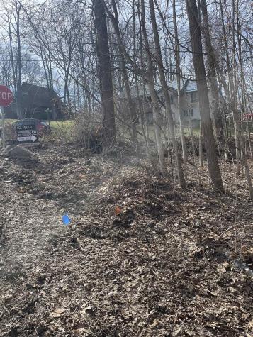 Briarwood Lane Springville IN 47462