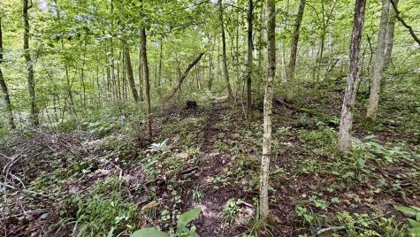 S County Rd 50 West Paoli IN 47454