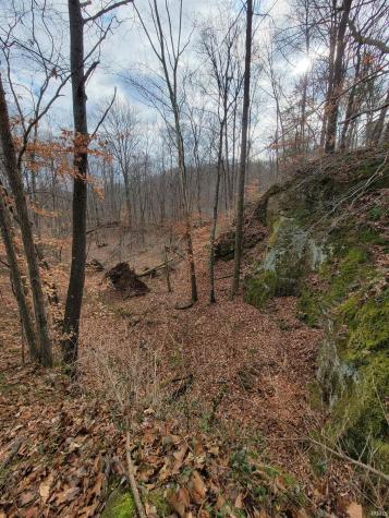 6686 Hickory Ridge Road Shoals IN 47581