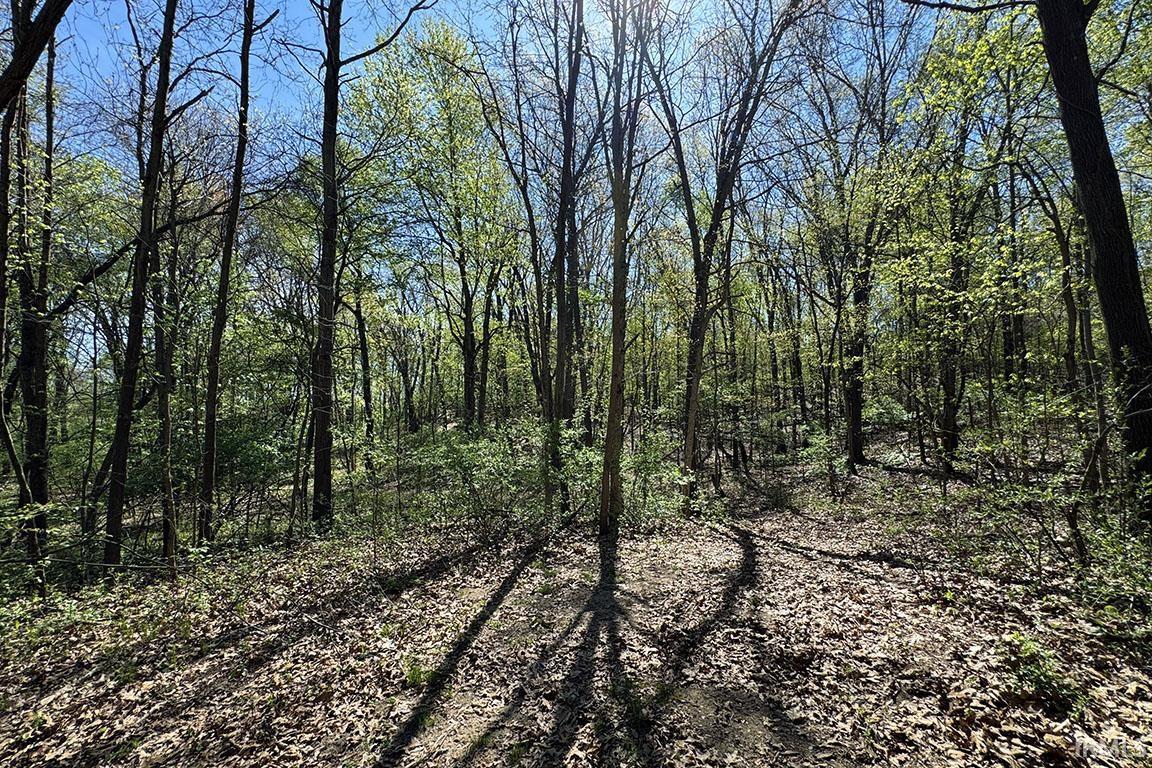 Tbd County Road 23 Bristol IN 46507