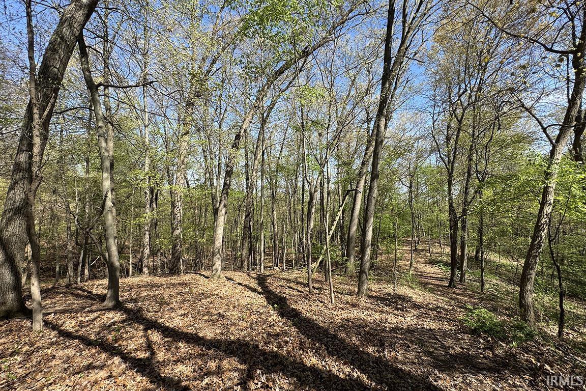 Tbd County Road 23 Bristol IN 46507