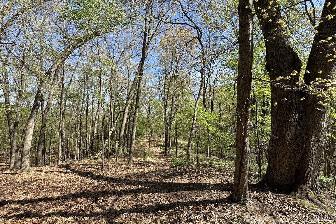 Tbd County Road 23 Bristol IN 46507