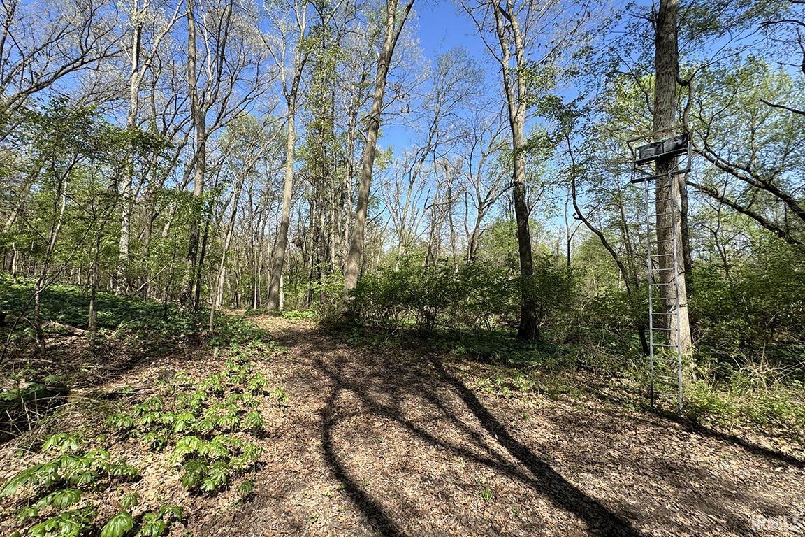 Tbd County Road 23 Bristol IN 46507