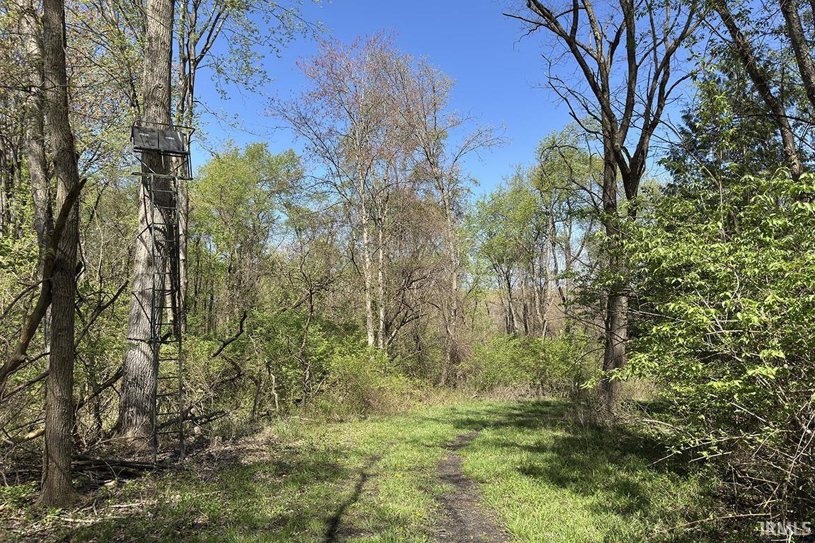 Tbd County Road 23 Bristol IN 46507
