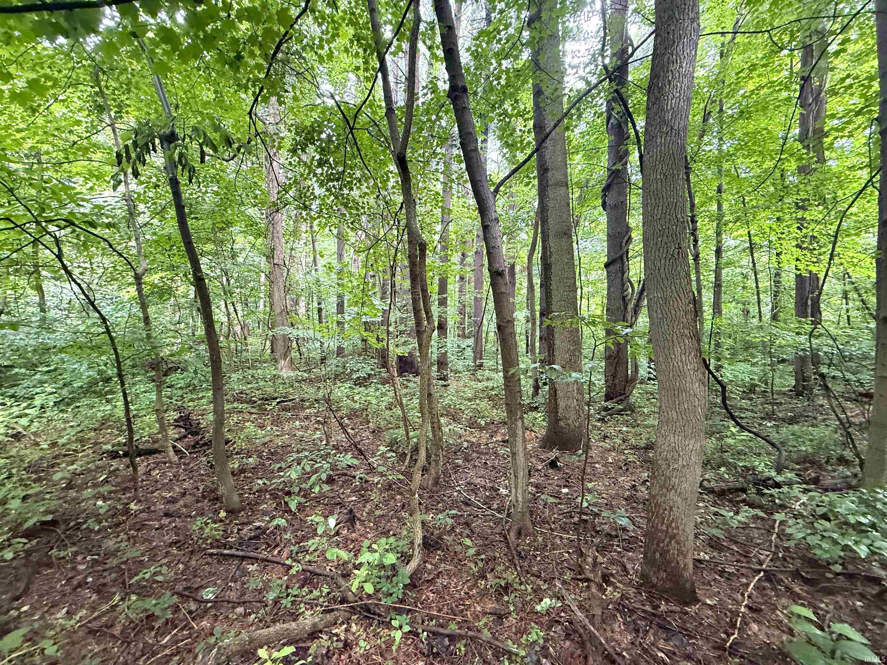 Vl Madison Bet Oak & Mulberry South Bend IN 46601