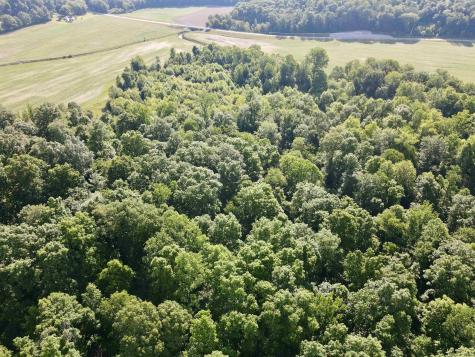 State Road 450/sims Road Shoals IN 47581