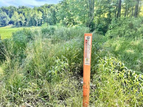State Road 450/sims Road Shoals IN 47581