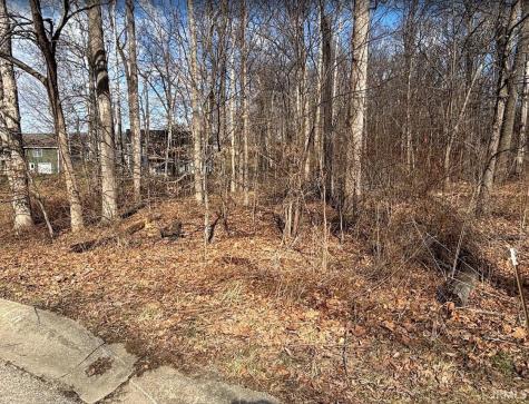 5528 N Behrens Court Ellettsville IN 47429