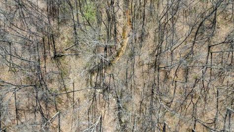 Tbd Hardin Ridge Road Bedford IN 47421