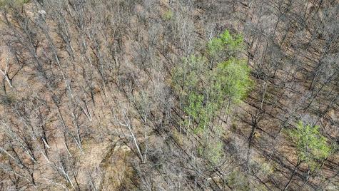 Tbd Hardin Ridge Road Bedford IN 47421