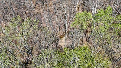 Tbd Hardin Ridge Road Bedford IN 47421