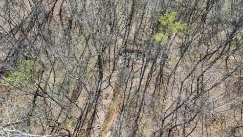 Tbd Hardin Ridge Road Bedford IN 47421
