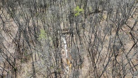 Tbd Hardin Ridge Road Bedford IN 47421