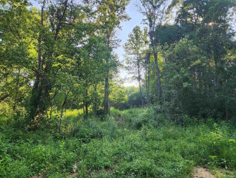 Tract 2 State Road 54 Springville IN 47462