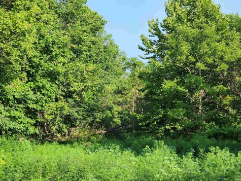 Tract 2 State Road 54 Springville IN 47462