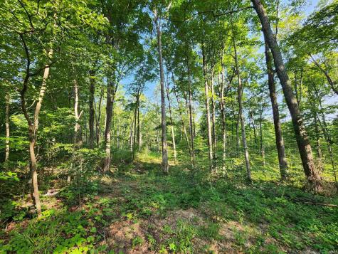 Tract 2 State Road 54 Springville IN 47462
