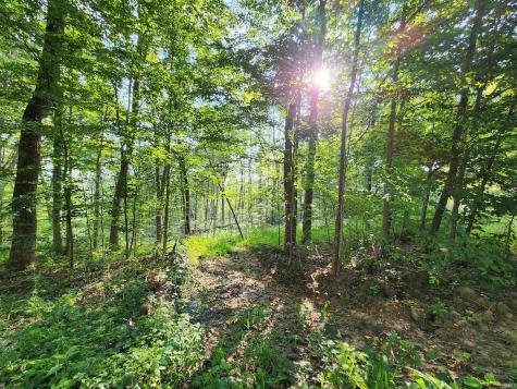 Tract 2 State Road 54 Springville IN 47462