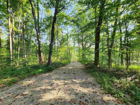 Tract 2 State Road 54 Springville IN 47462