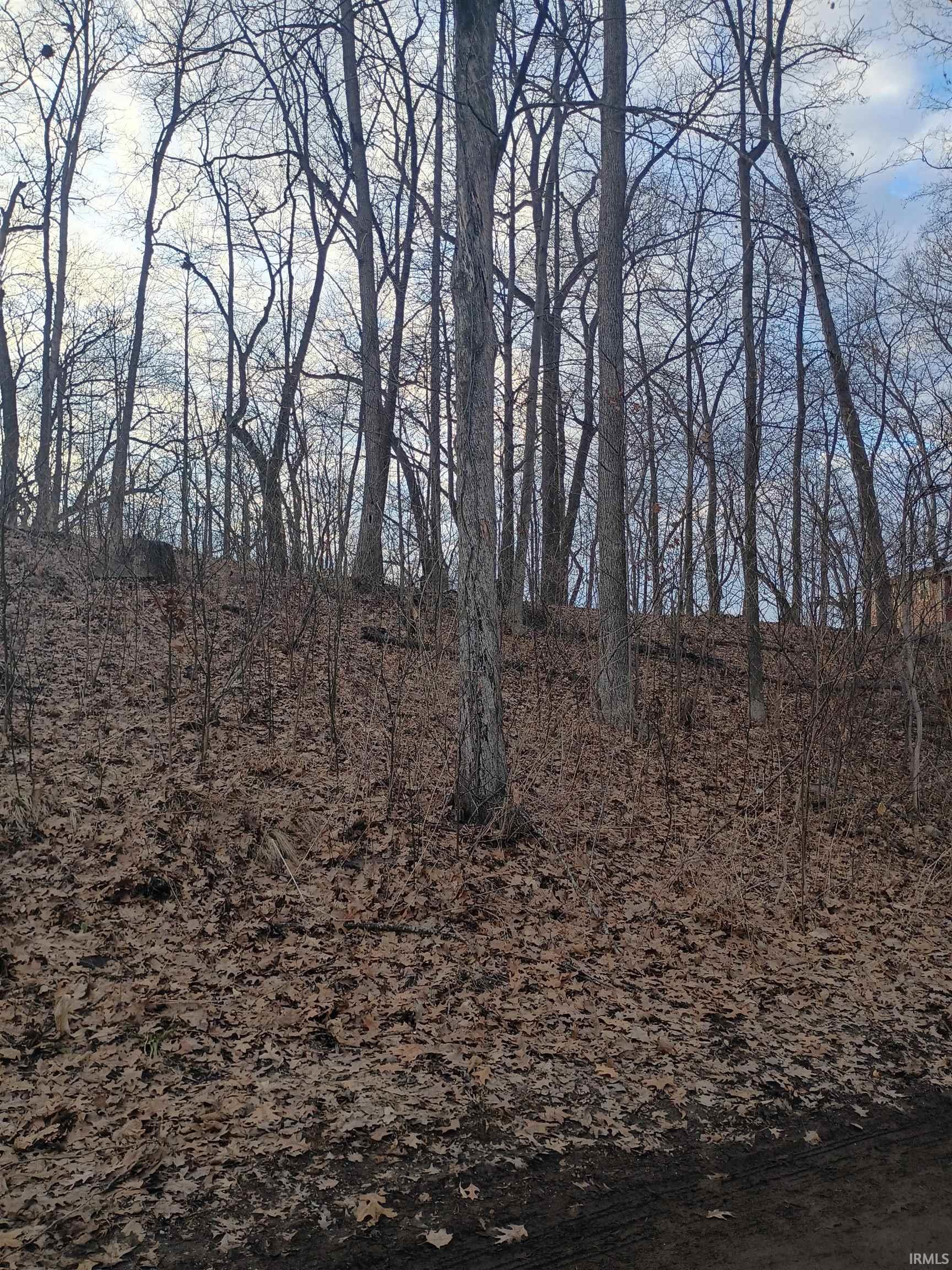 Lane 131 C Turkey Lake Lot # 23 &24 Lagrange IN 46761