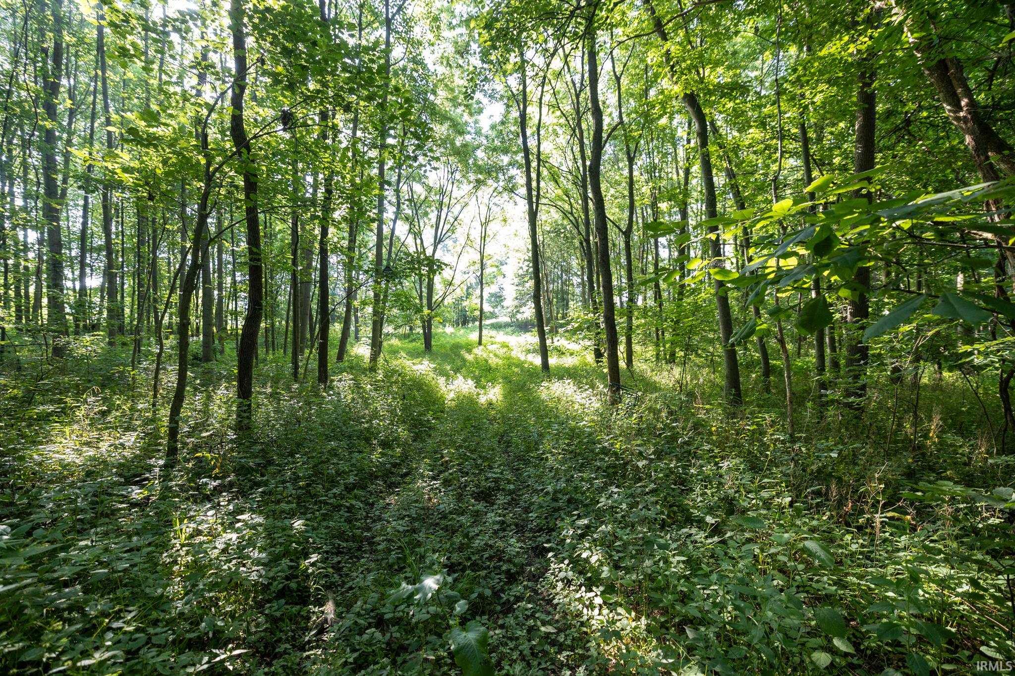 V/l State Road 19 Macy IN 46951
