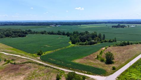 50.+/- Acres N Sycamore Road Bicknell IN 47512