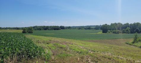 50.+/- Acres N Sycamore Road Bicknell IN 47512